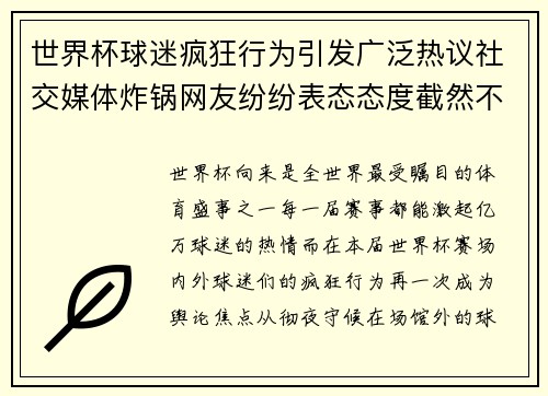 世界杯球迷疯狂行为引发广泛热议社交媒体炸锅网友纷纷表态态度截然不同
